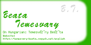 beata temesvary business card
